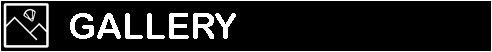 gallerybanner